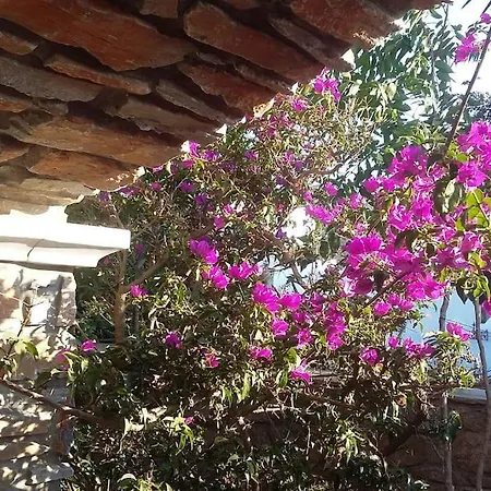 Volax, Tinos, Cyclades Unique Landscape Lägenhet